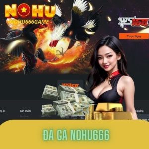 Đá gà Nohu666